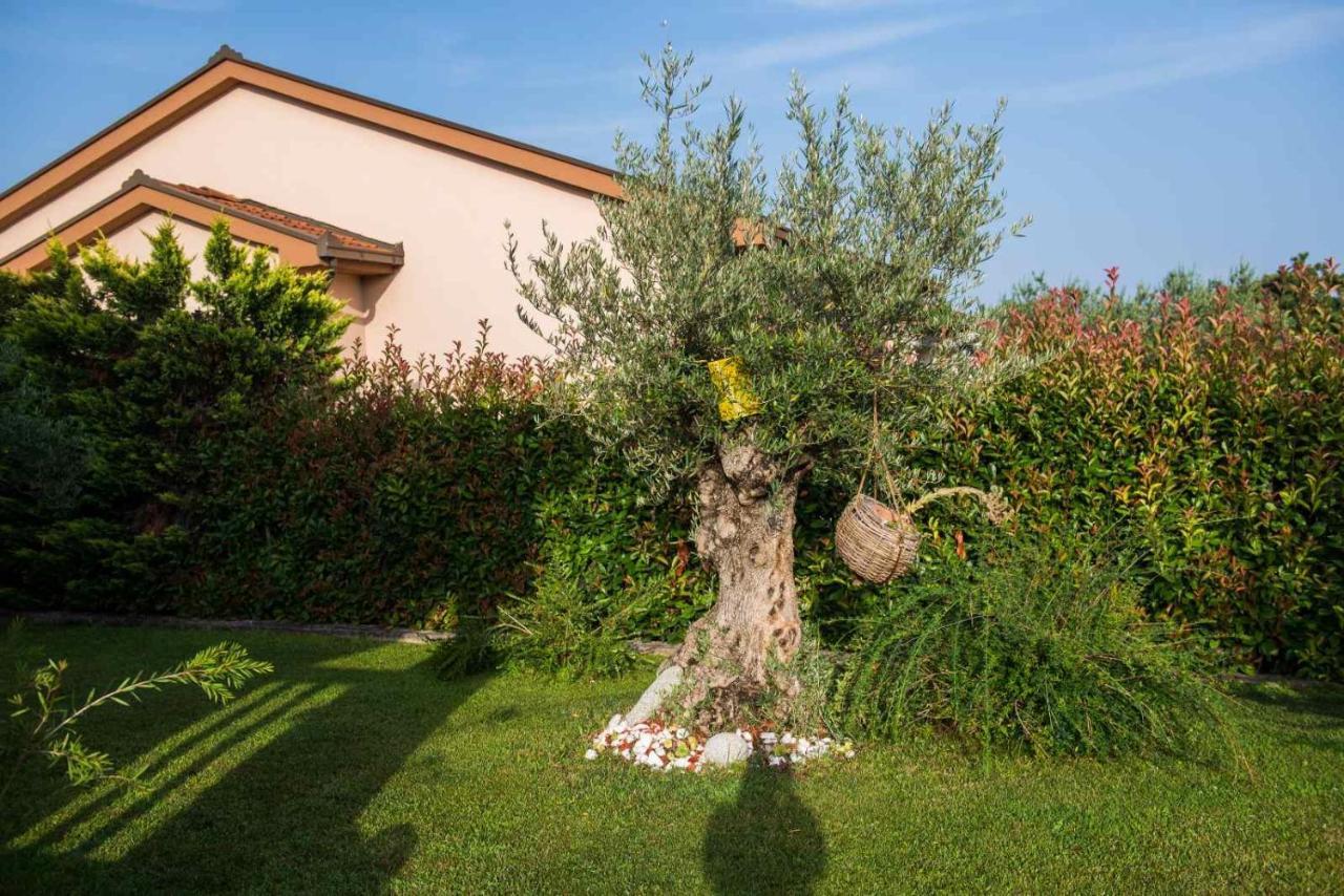 Villa Aleksandra Ljubuški エクステリア 写真